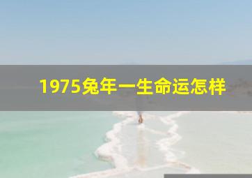 1975兔年一生命运怎样