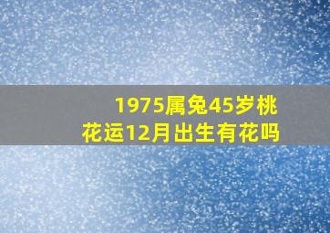 1975属兔45岁桃花运12月出生有花吗