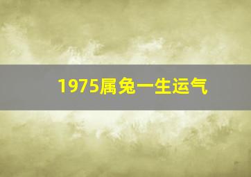 1975属兔一生运气