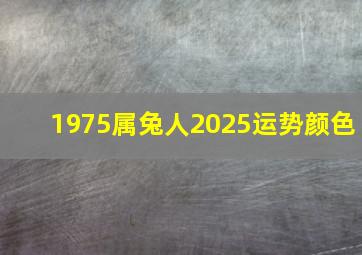 1975属兔人2025运势颜色