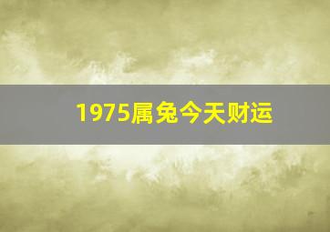 1975属兔今天财运