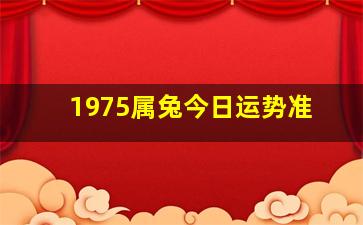 1975属兔今日运势准