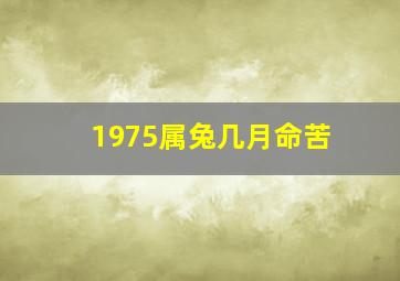 1975属兔几月命苦