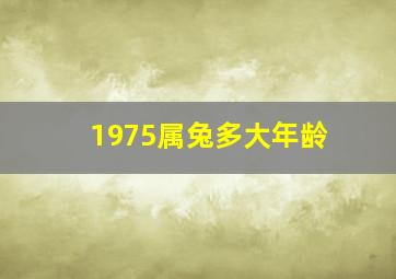 1975属兔多大年龄