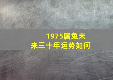 1975属兔未来三十年运势如何