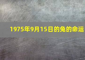 1975年9月15日的兔的命运