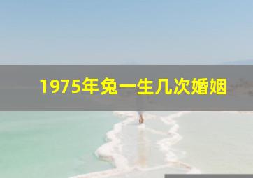 1975年兔一生几次婚姻