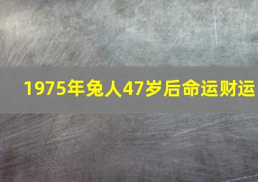 1975年兔人47岁后命运财运