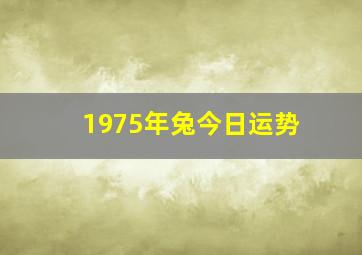 1975年兔今日运势