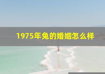 1975年兔的婚姻怎么样