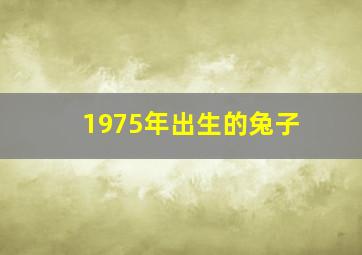 1975年出生的兔子