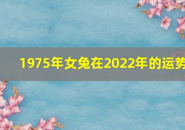 1975年女兔在2022年的运势