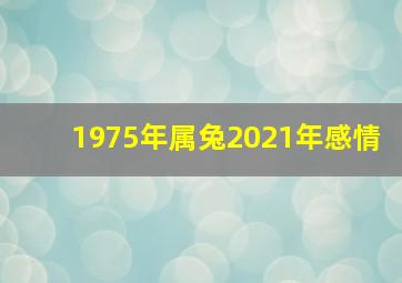 1975年属兔2021年感情