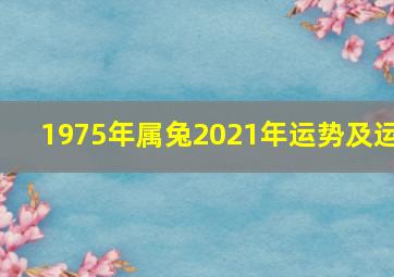 1975年属兔2021年运势及运