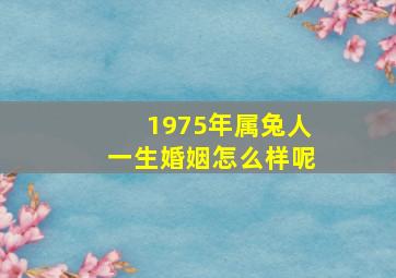 1975年属兔人一生婚姻怎么样呢