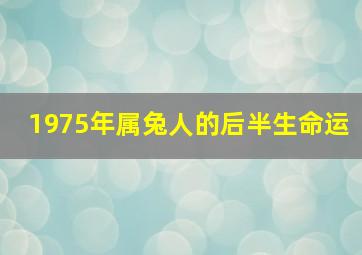 1975年属兔人的后半生命运