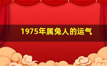 1975年属兔人的运气