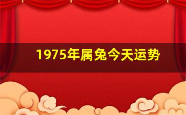 1975年属兔今天运势