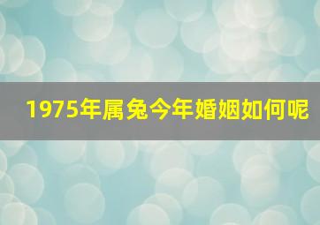 1975年属兔今年婚姻如何呢