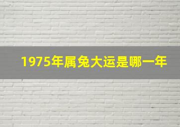 1975年属兔大运是哪一年