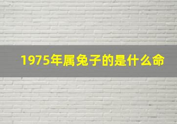 1975年属兔子的是什么命