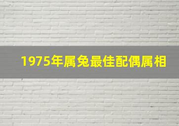 1975年属兔最佳配偶属相