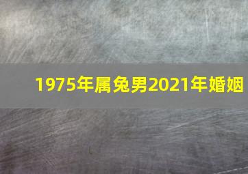 1975年属兔男2021年婚姻