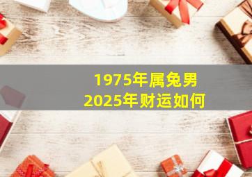 1975年属兔男2025年财运如何