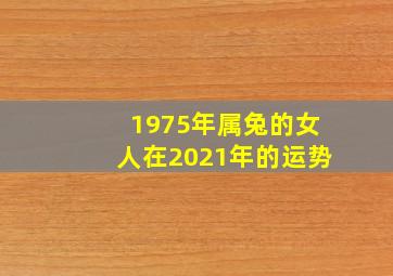 1975年属兔的女人在2021年的运势