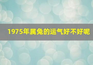 1975年属兔的运气好不好呢