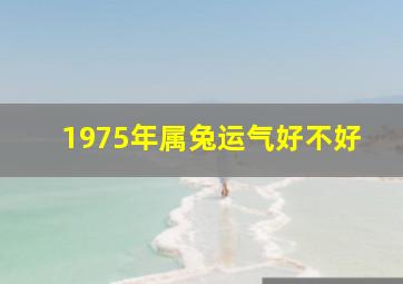 1975年属兔运气好不好