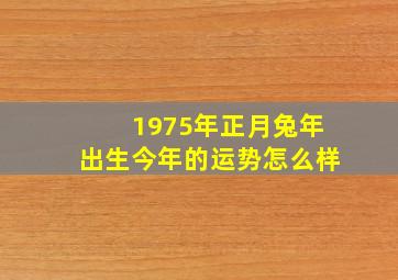 1975年正月兔年出生今年的运势怎么样