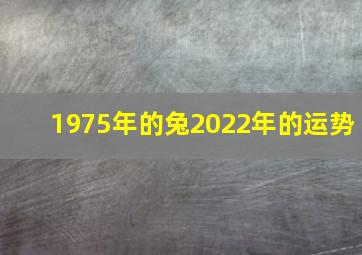 1975年的兔2022年的运势