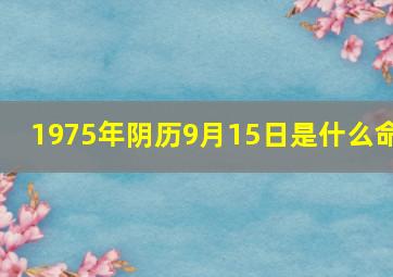 1975年阴历9月15日是什么命