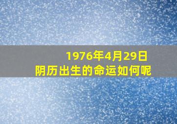 1976年4月29日阴历出生的命运如何呢