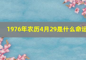 1976年农历4月29是什么命运