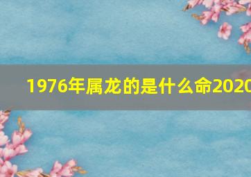 1976年属龙的是什么命2020