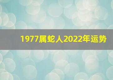 1977属蛇人2022年运势