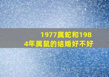 1977属蛇和1984年属鼠的结婚好不好