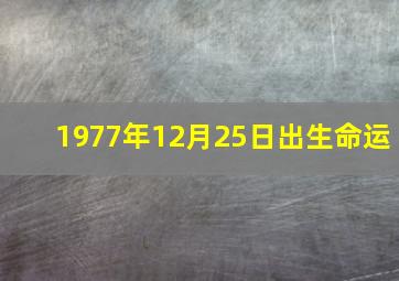 1977年12月25日出生命运