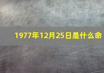 1977年12月25日是什么命