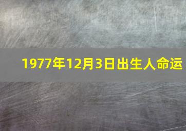 1977年12月3日出生人命运