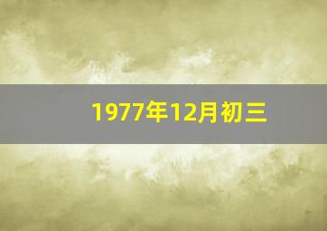 1977年12月初三