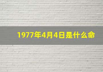 1977年4月4日是什么命