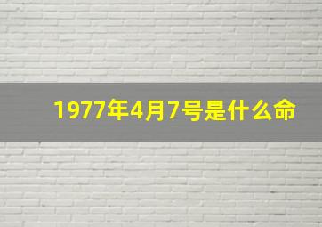 1977年4月7号是什么命