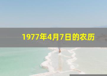 1977年4月7日的农历