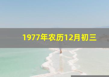 1977年农历12月初三