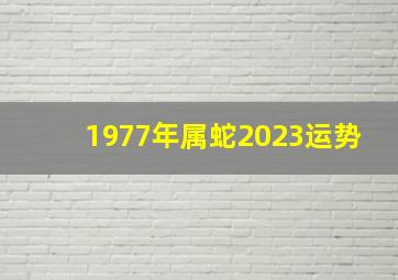 1977年属蛇2023运势