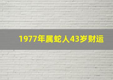 1977年属蛇人43岁财运