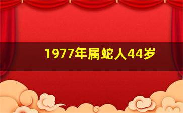 1977年属蛇人44岁